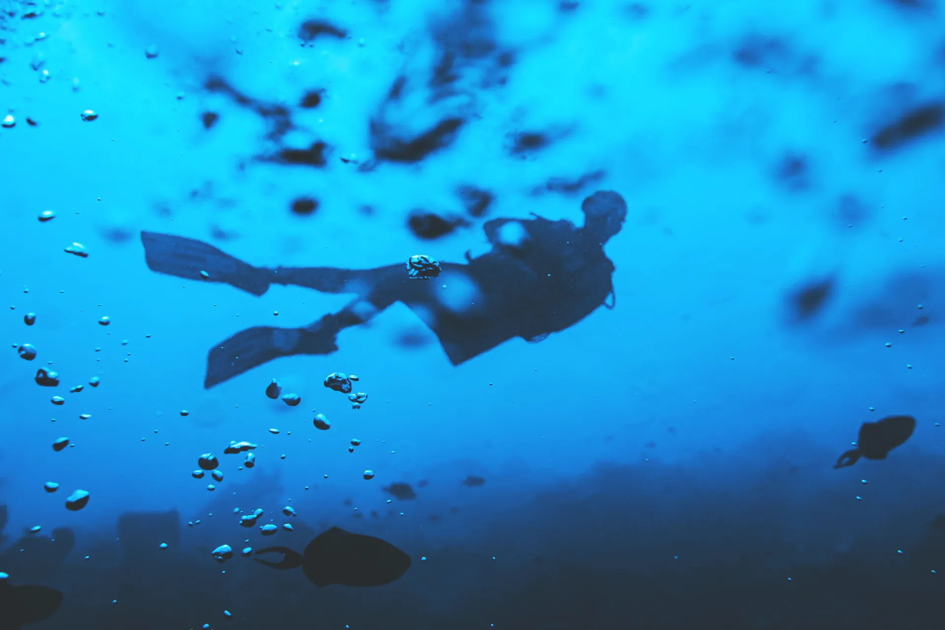 Deep Dive Division