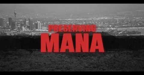 Preserving-mana